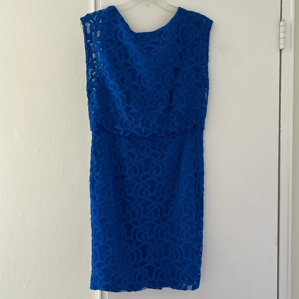 Adrianna Papell Dress 10P like new no damage